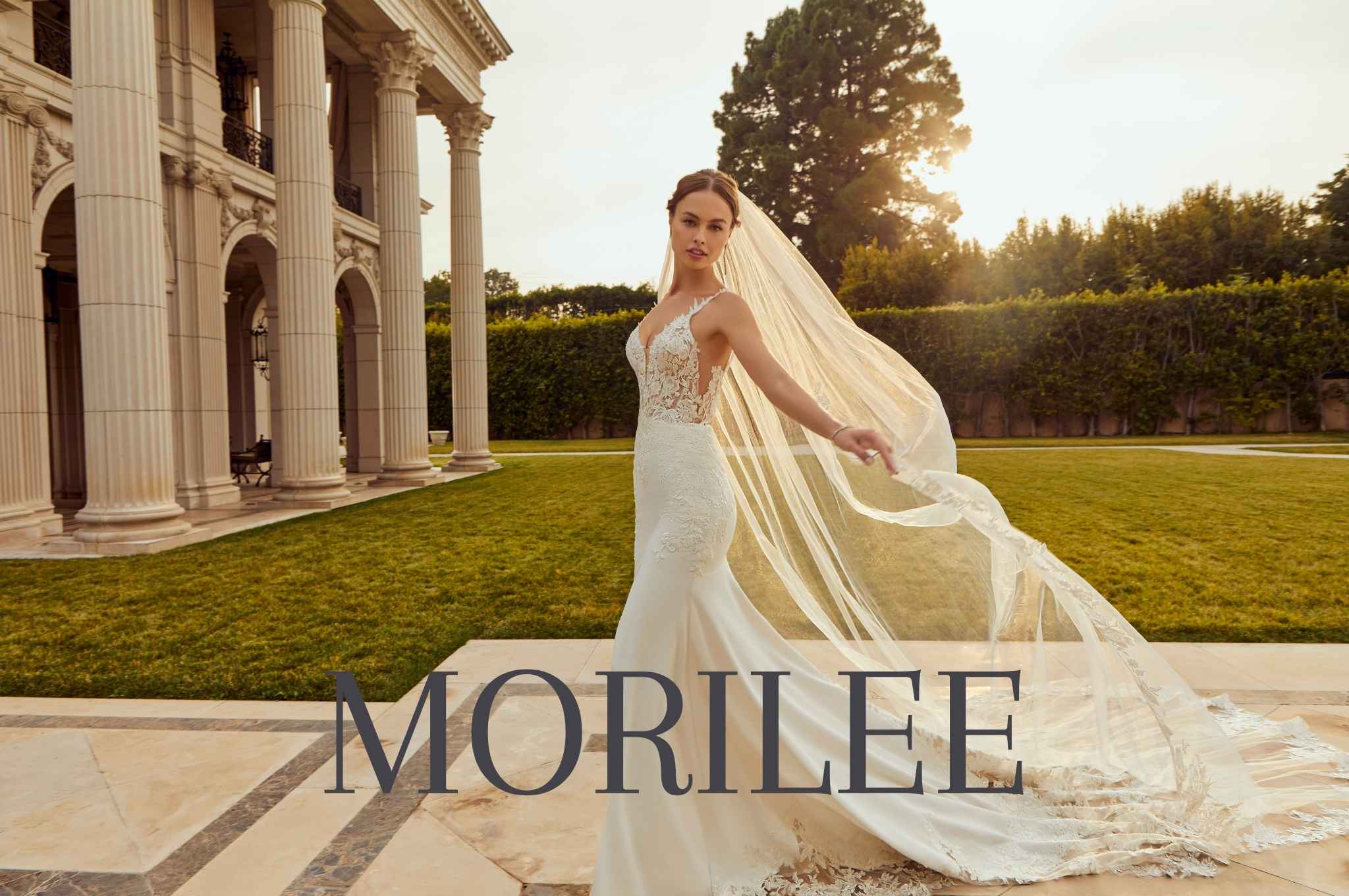 Colección vestidos Morilee